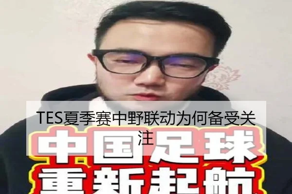 TES夏季赛中野联动为何备受关注